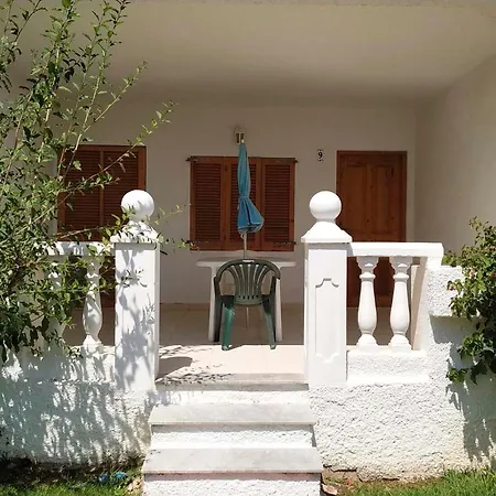 Palma Blanca 3000