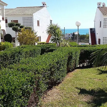 Palma Blanca 3000
