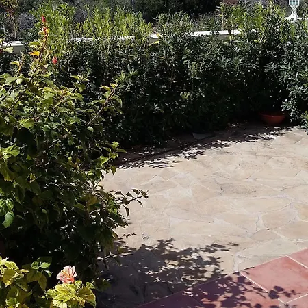 Apartment Palma Blanca 3000